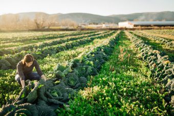 Los productos de proximidad contribuyen a la sostenibilidad para el cuidado del medioambiente