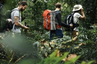 trekking-forest