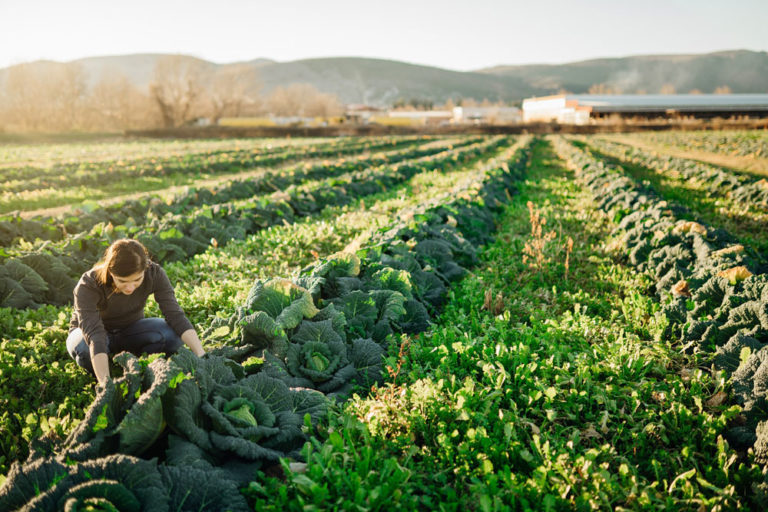 Los productos de proximidad contribuyen a la sostenibilidad para el cuidado del medioambiente